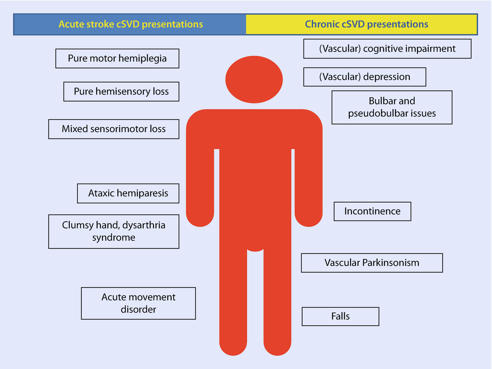 Cerebral Small Vessel Disease And Vascular Cognitive Impairment Springerlink