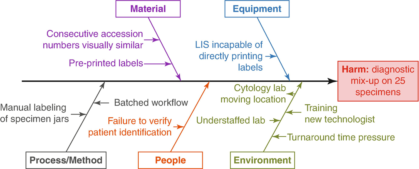 Medical fishbone diagram lab values