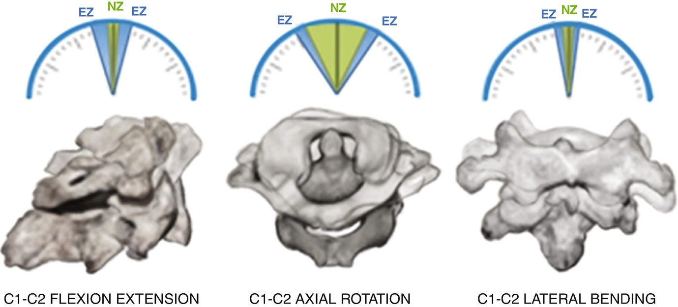 Biomechanics Of The Cvj Springerlink