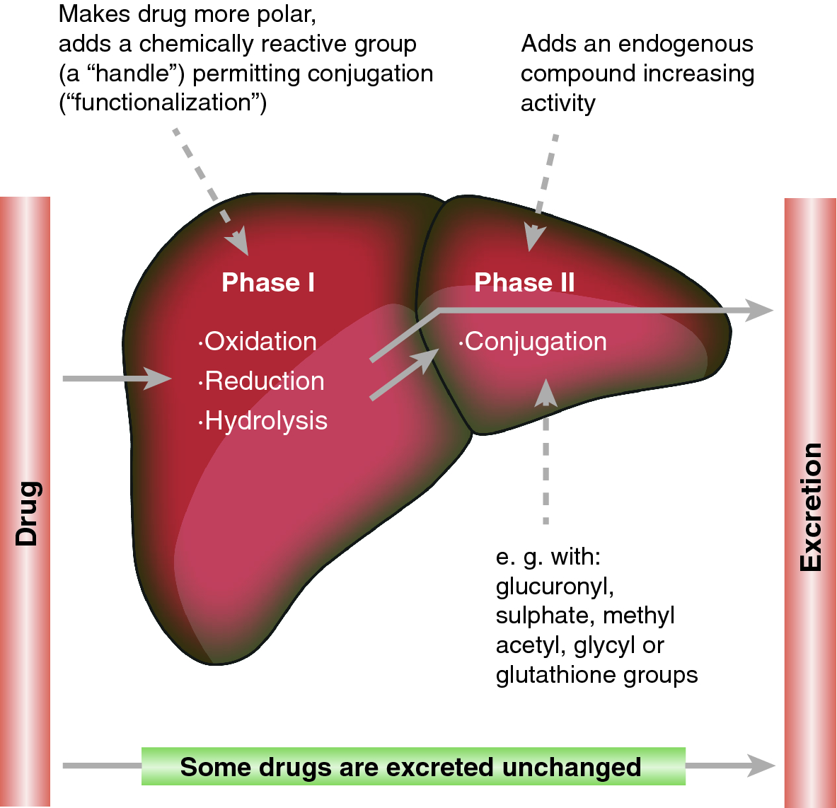 Cost of plaquenil rx Cost of plaquenil rx
