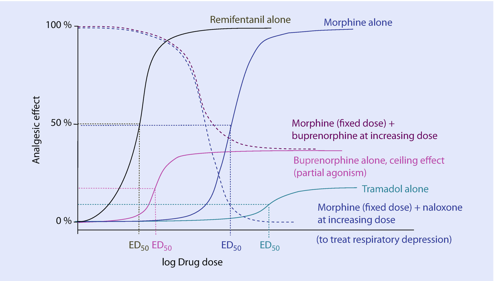 Pain Pharmacology Springerlink