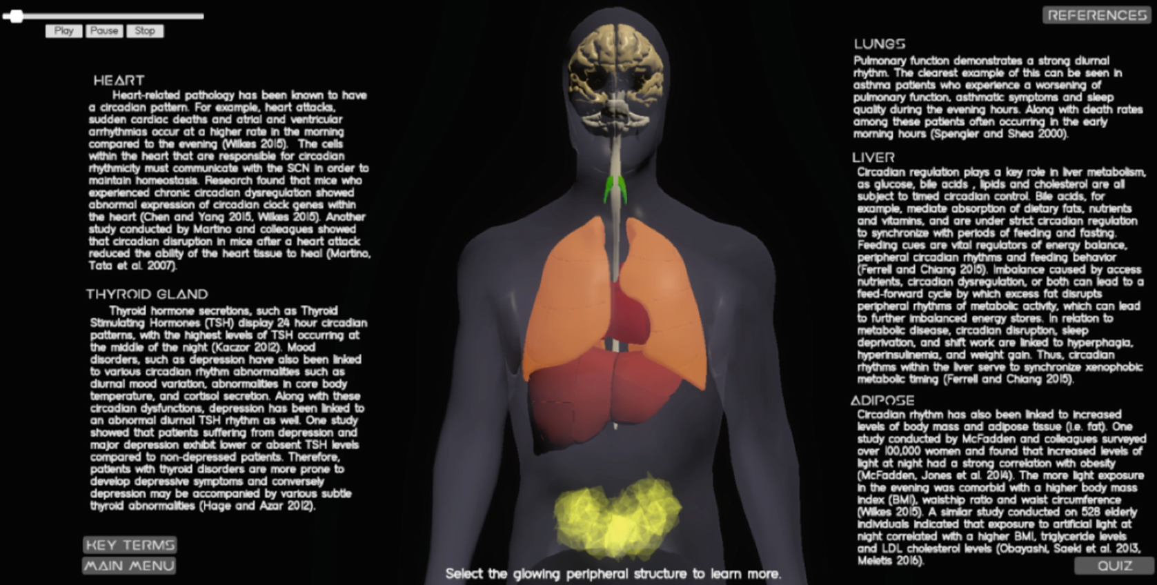 Interactive 3d Visualisation Of The Mammalian Circadian System