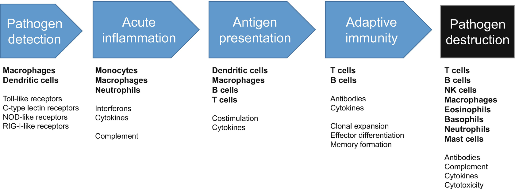 basic immunology abbas outline basic immunology abbas outline