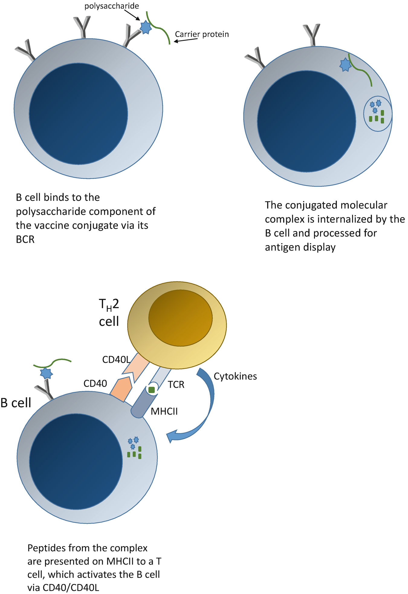 chloroquine resistance in pakistan