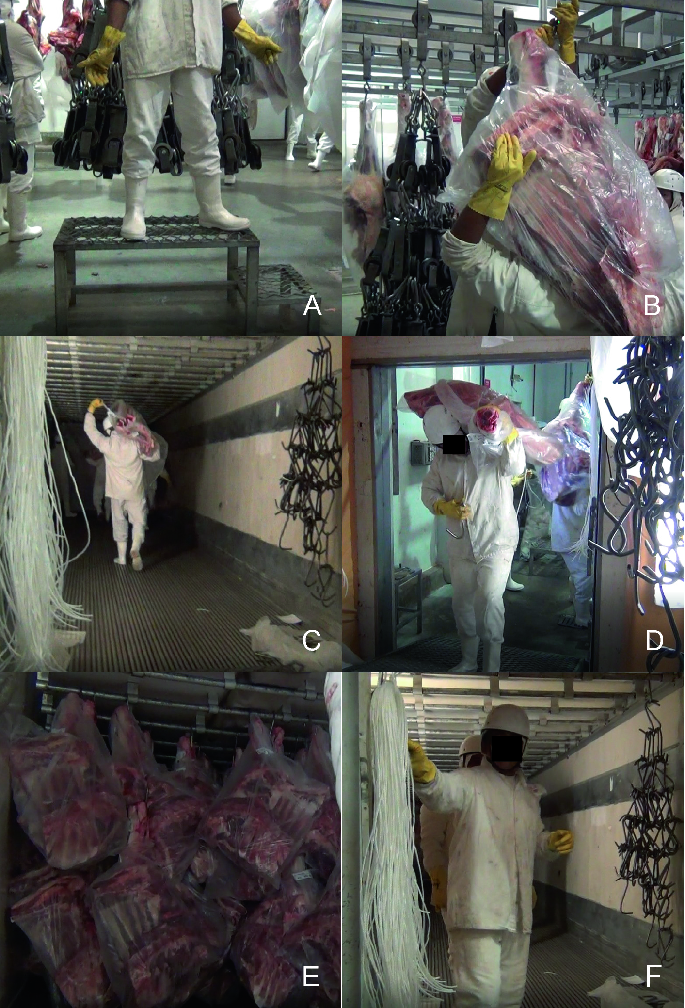 Ergonomic Risk Evaluation Of The Manual Handling Task Of Bovine Quarters In A Brazilian Slaughterhouse Springerlink Ergonomic Risk Evaluation Of The Manual Handling Task Of Bovine Quarters In A Brazilian Slaughterhouse Springerlink