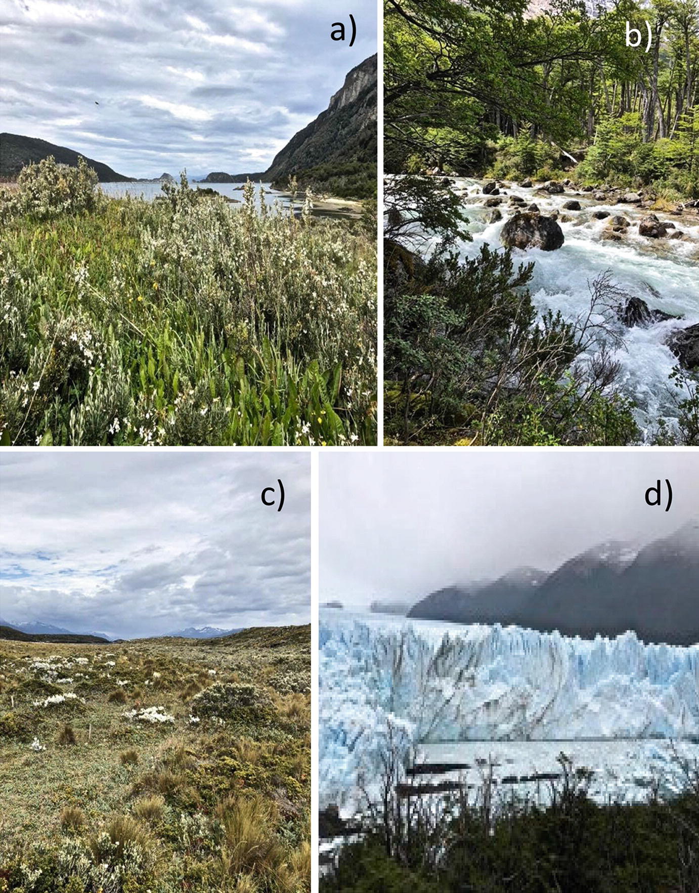 Patagonia Springerlink