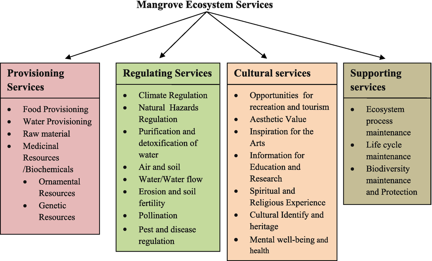 Ecosystem Services Of Mangroves An Overview Springerlink