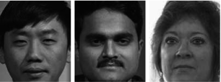 Novel Texture Descriptor Family for Face Recognition SpringerLink