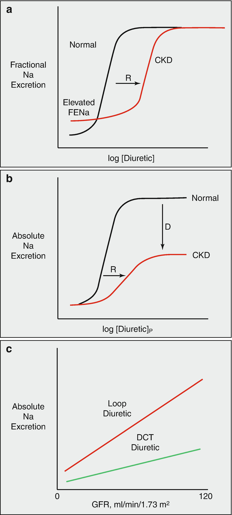 Insights On Diuretic Therapy From Clinical And Pharmacologic