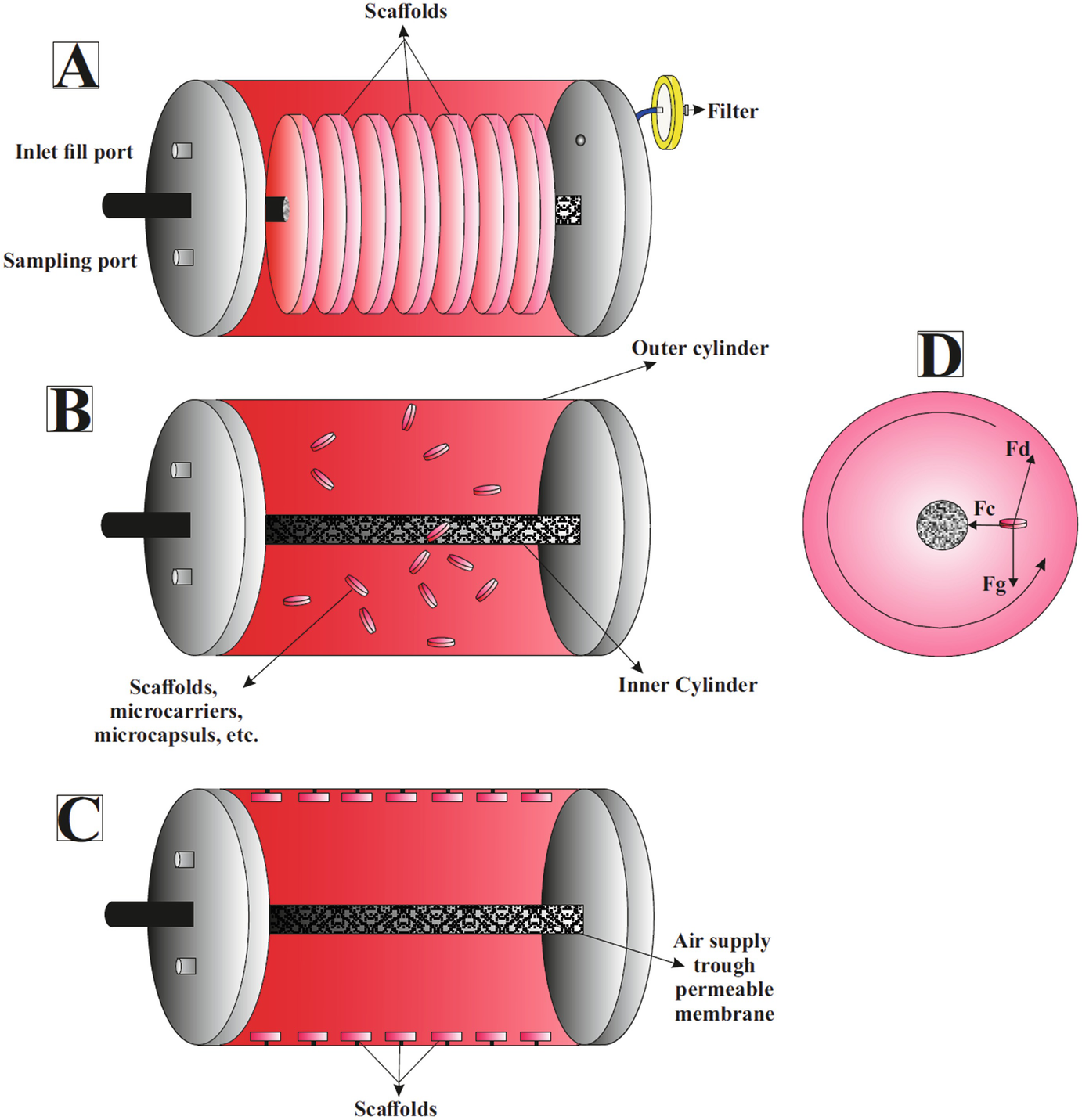 Application Of Bioreactors In Dental And Oral Tissue - 