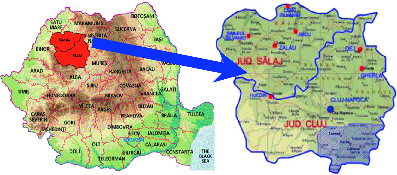 Drinking Water Supply Systems Evolution Towards Efficiency