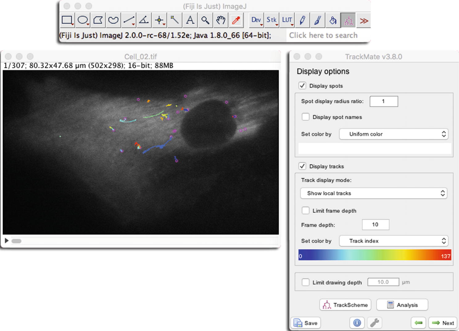 The Nemo Dots Assembly Single Particle Tracking And