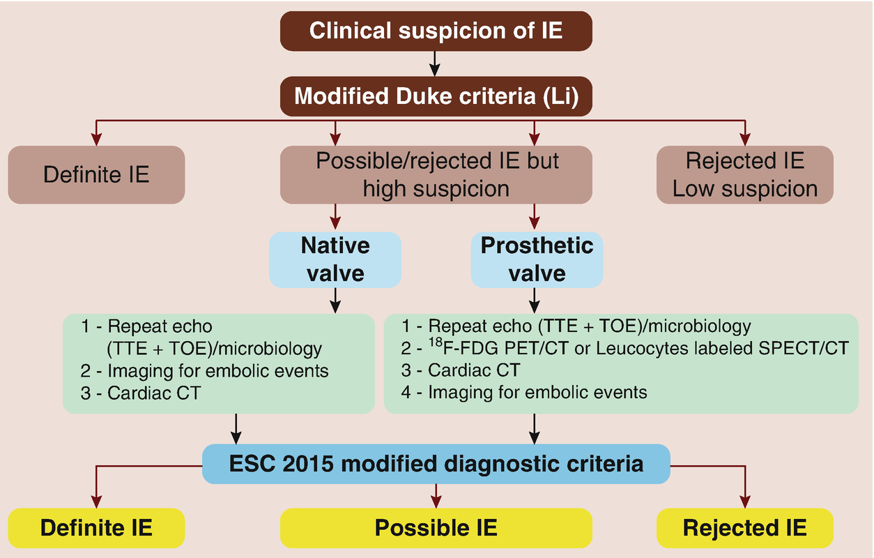 Infective Endocarditis Springerlink