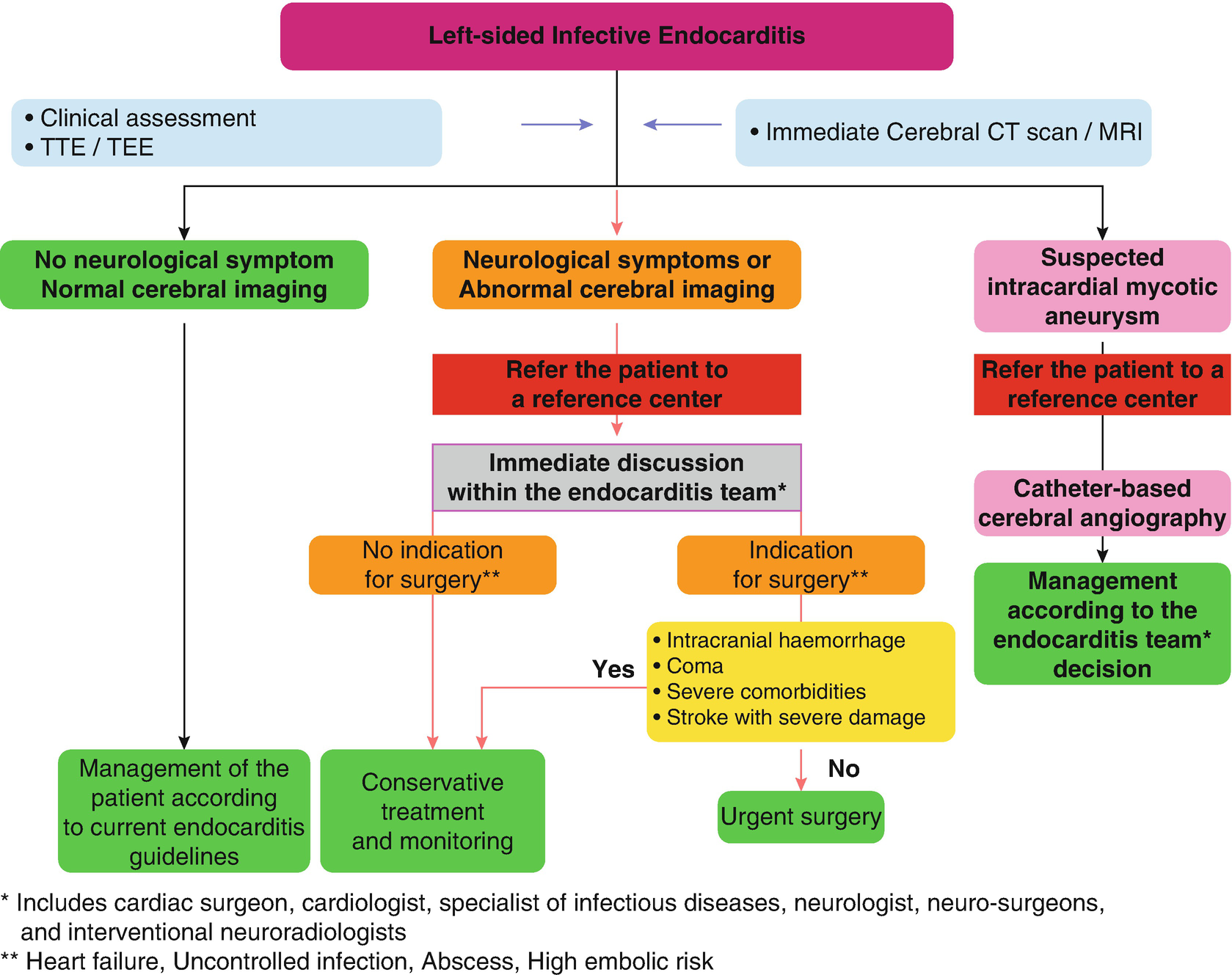 Infective Endocarditis Springerlink