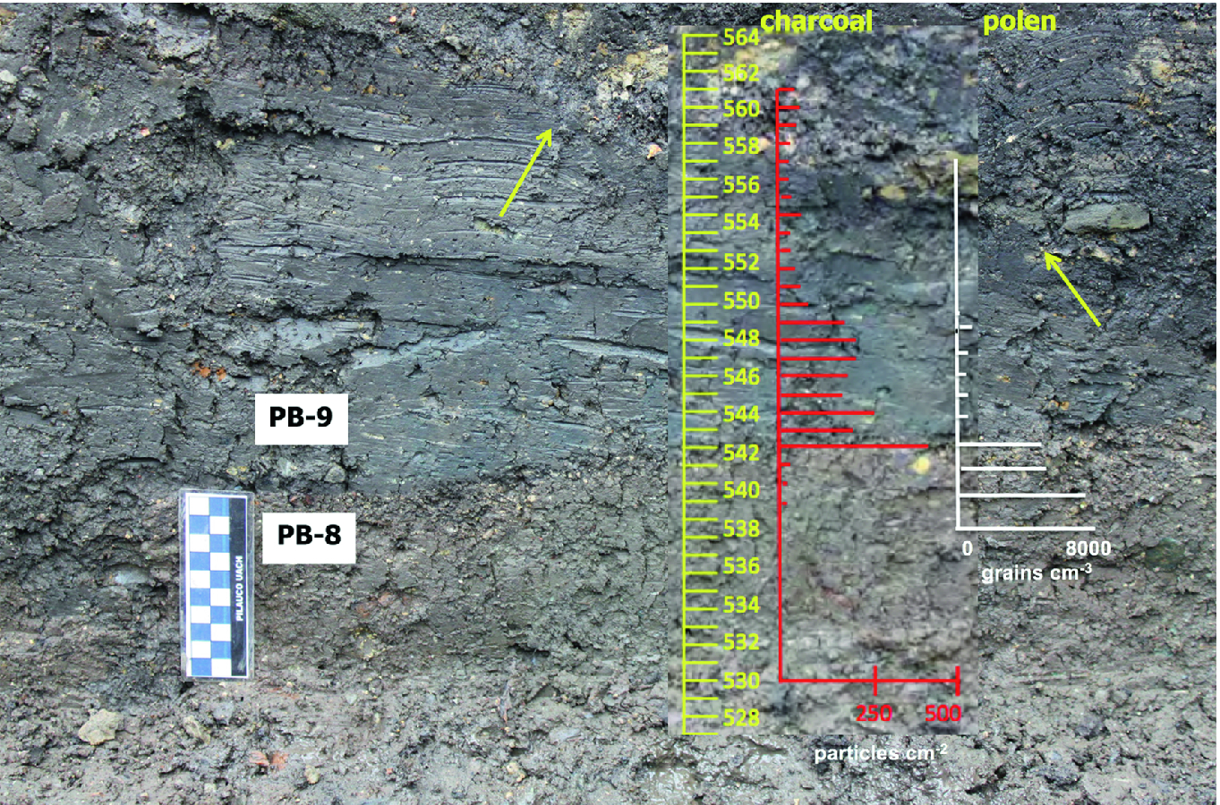Geology Stratigraphy And Chronology Of The Pilauco Site Springerlink