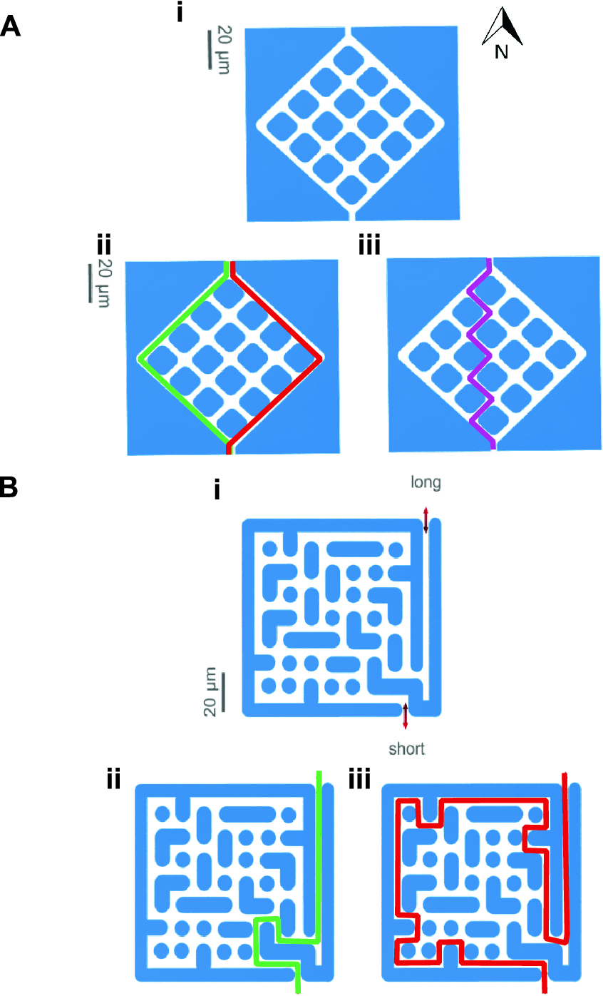 Space Partitioning And Maze Solving By Bacteria Springerlink - 