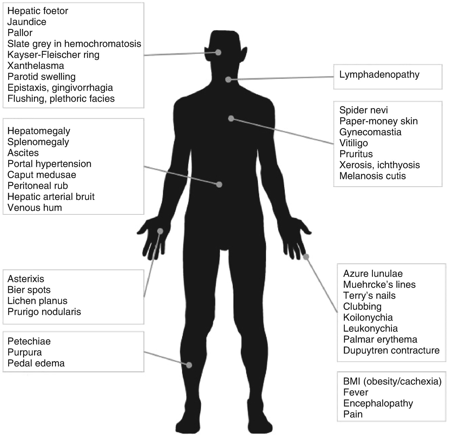 History And Physical Examination Springerlink