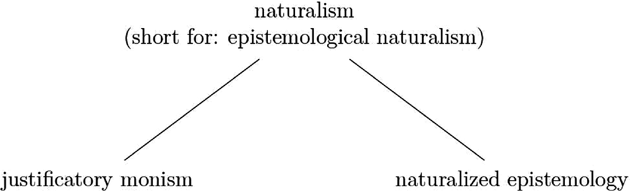 22+ Naturalizing Epistemology PNG