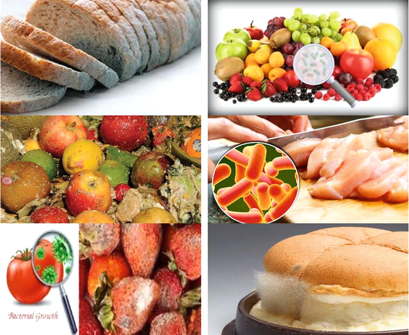 Food Spoilage - Lessons - Tes Teach