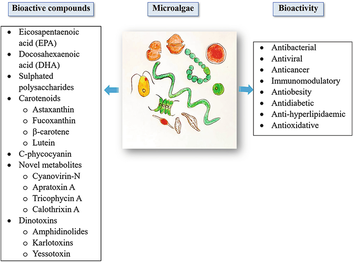 Bioactive Compounds From Microalgae And Their Potential