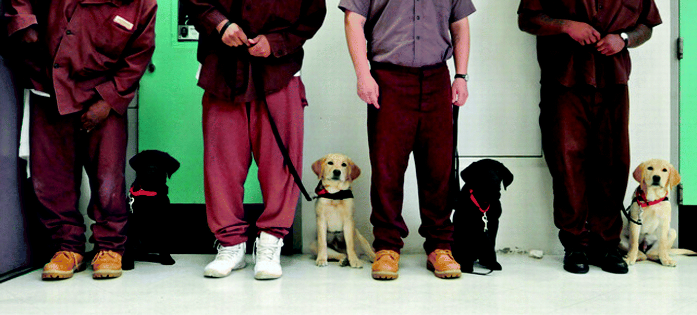 Introduction Building A Rationale For Prison Dog Programs