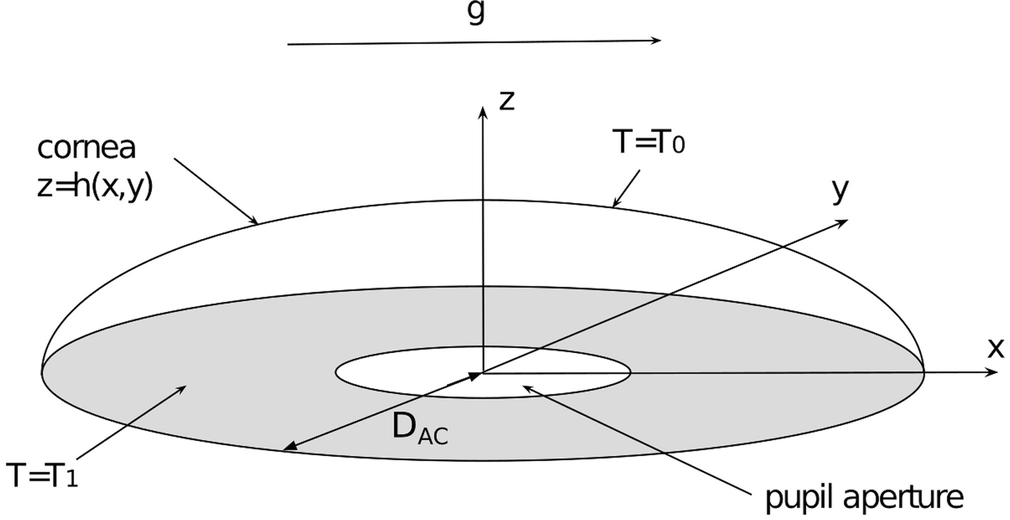 Mathematical Models Of Aqueous Production Flow And Drainage Springerlink