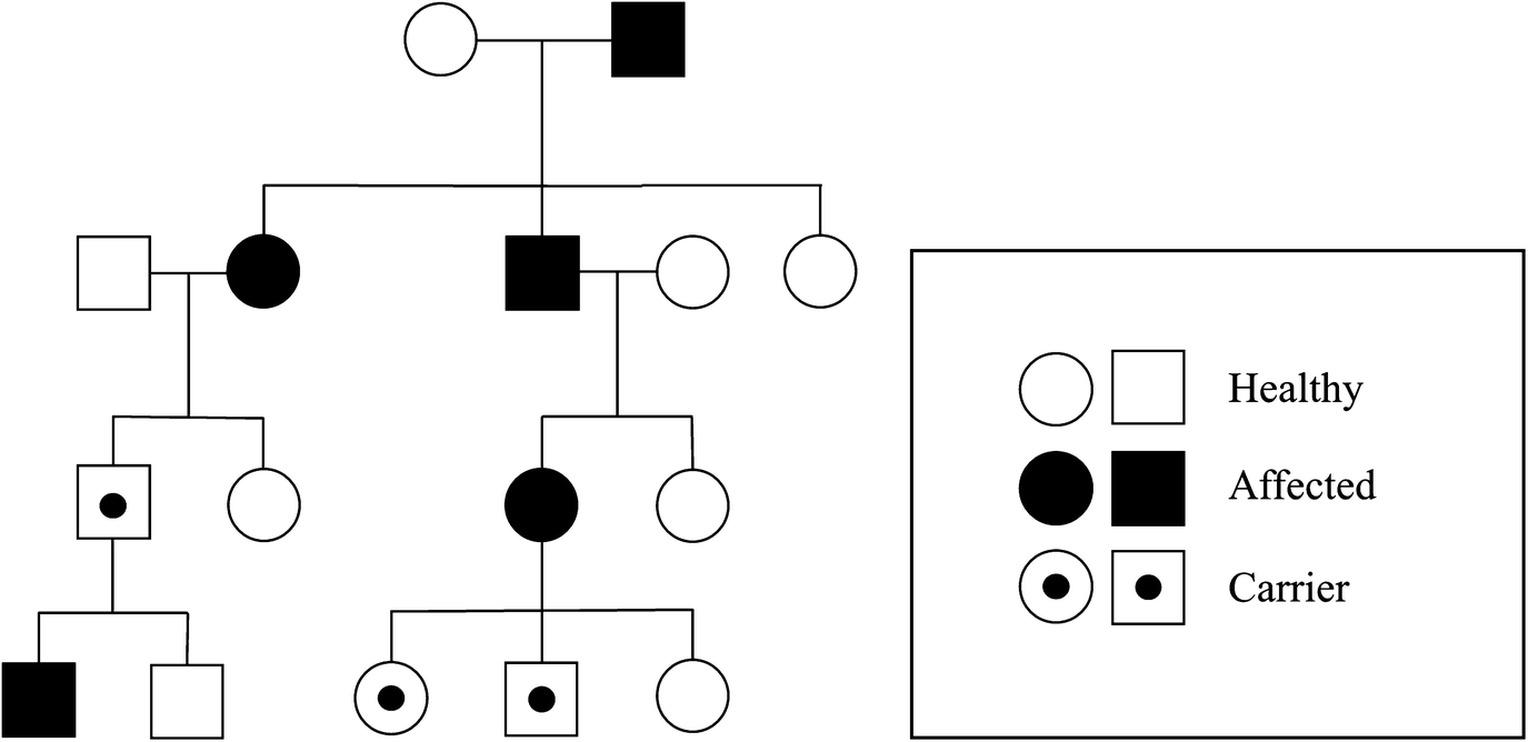 pheochromocytoma hipertónia)