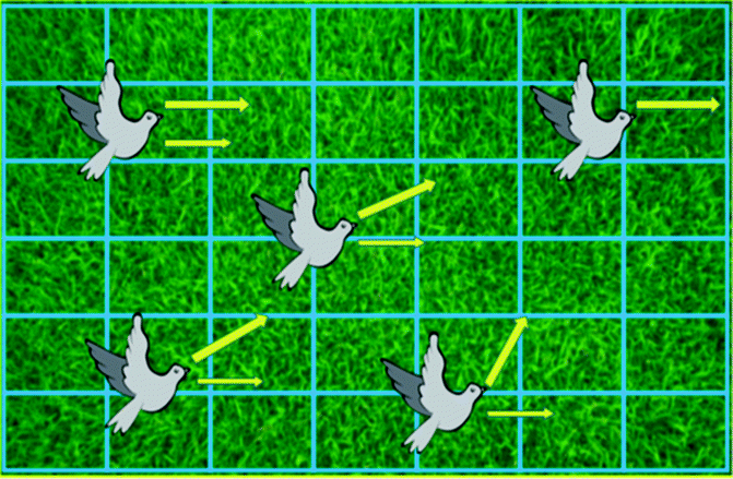 Pigeons Pigeons