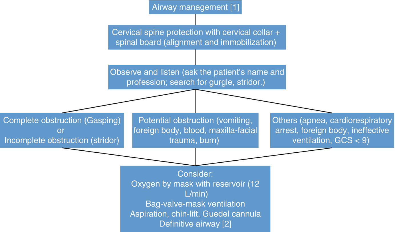 Airway Management Springerlink