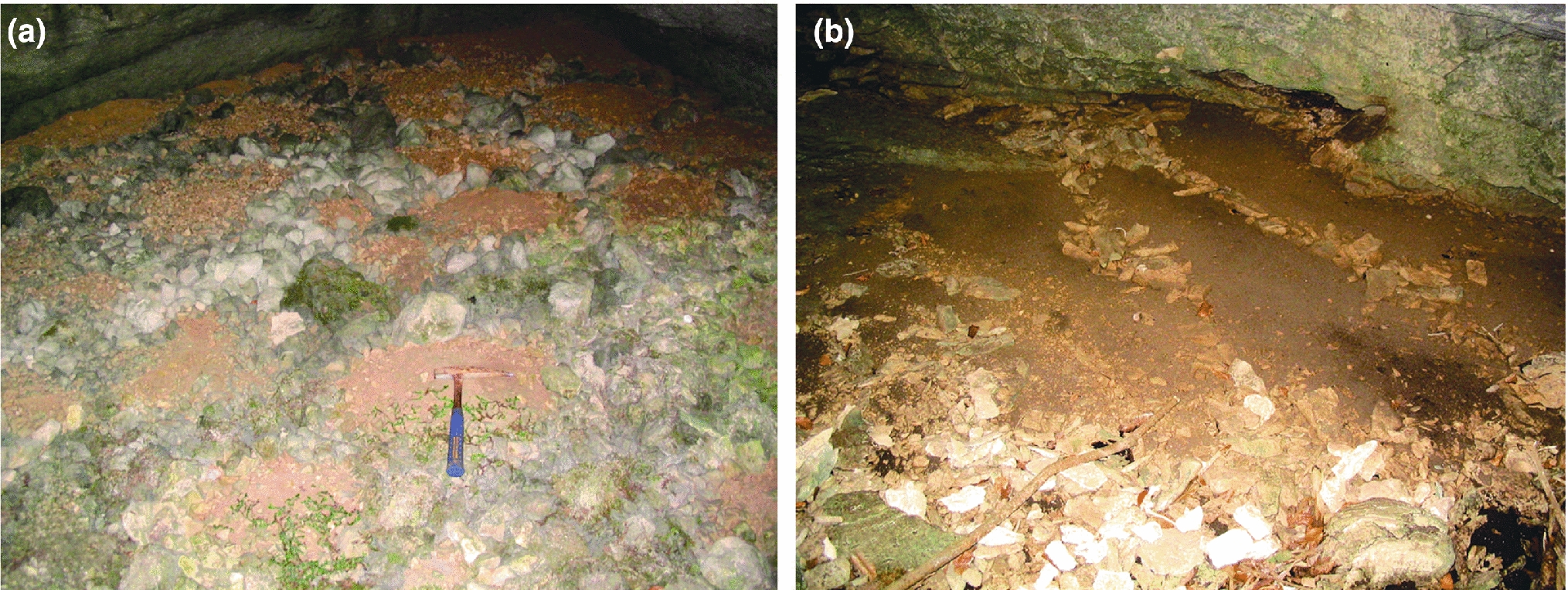 What Do Yellowish Brown Soils And Stone Layers Tell Us About Late Quaternary Landscape Evolution And Soil Development In The Humid Tropics A Field Study In The Serra Dos Orgaos Southeast Brazil