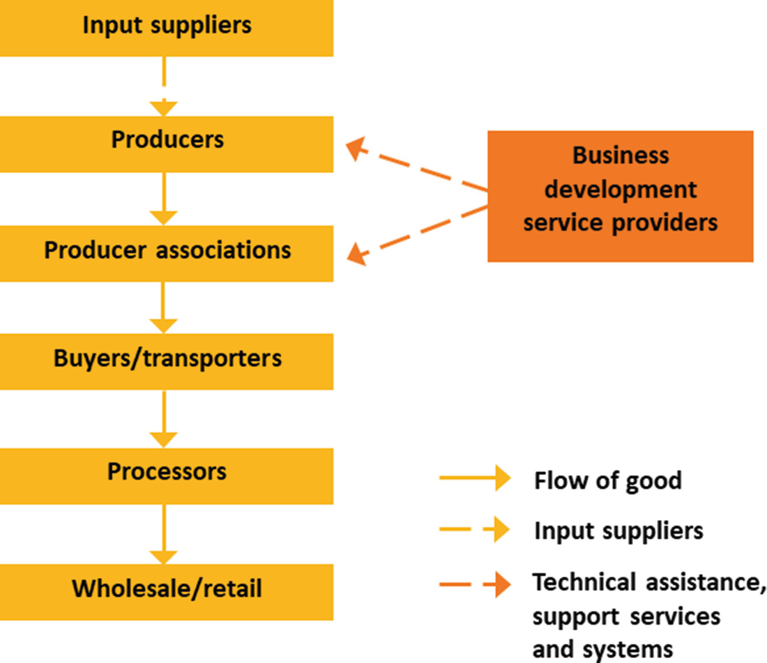 Enhancing Value Chain Innovation Through Collective Action ...