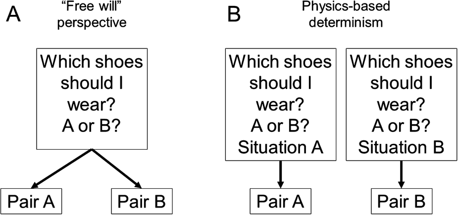 Determinism Springerlink