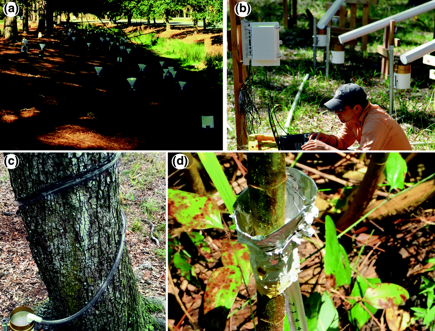 A Global Synthesis Of Throughfall And Stemflow Hydrometeorology