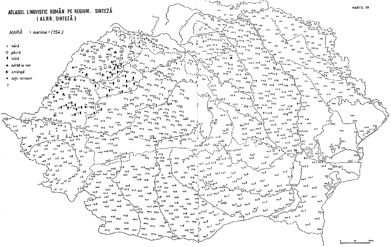 Romanian Language Between Tradition And Innovation Springerlink