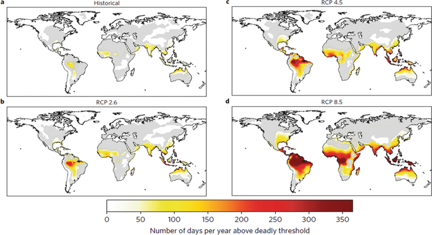 Climate Change, Public Health, Social Peace | SpringerLink