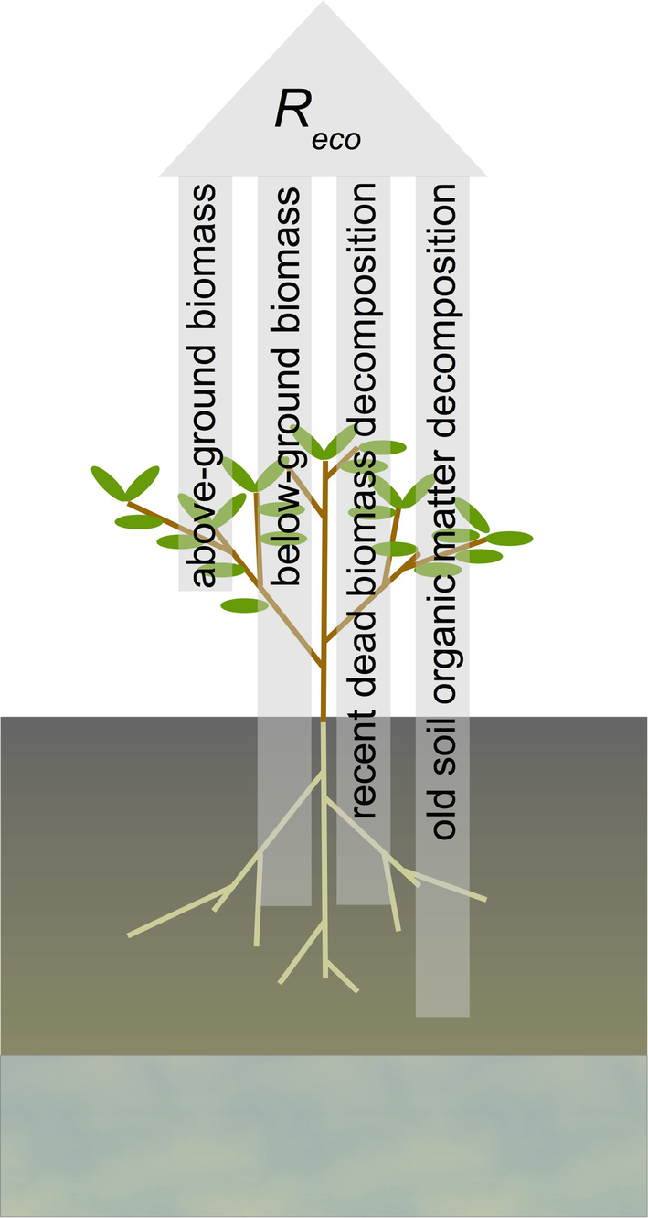 Permafrost In Transition Springerlink