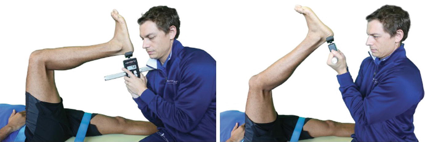 Clinical Assessment Of Hamstring Injury And Function Springerlink