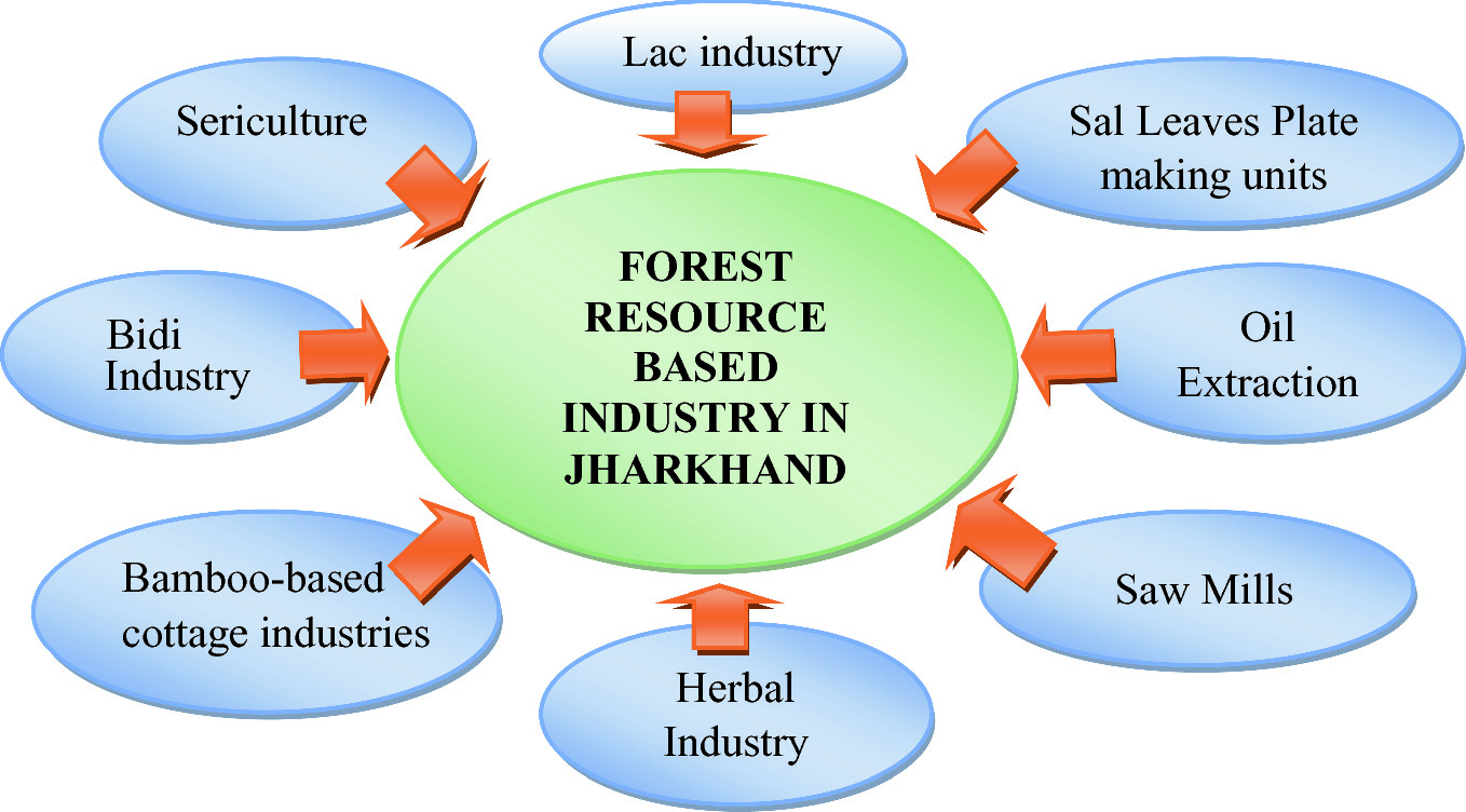 Forest Resources Of Jharkhand Eastern India Socio Economic And