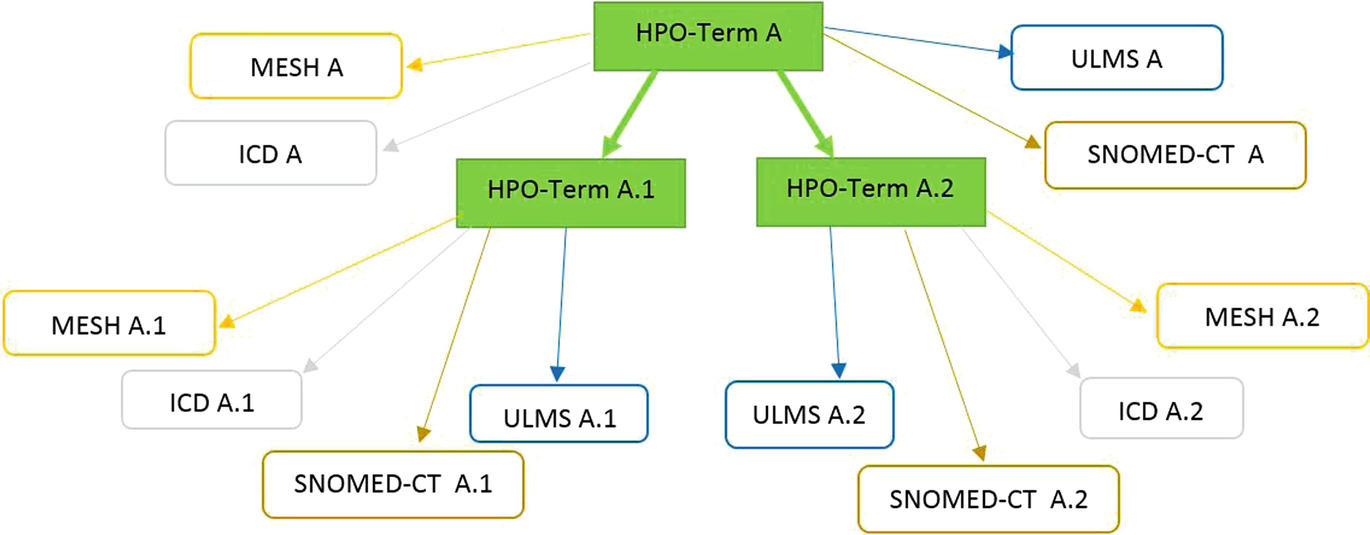 E Health Application For E Blood Analysis E Diagnosis And Digital Diet Guidance Springerlink