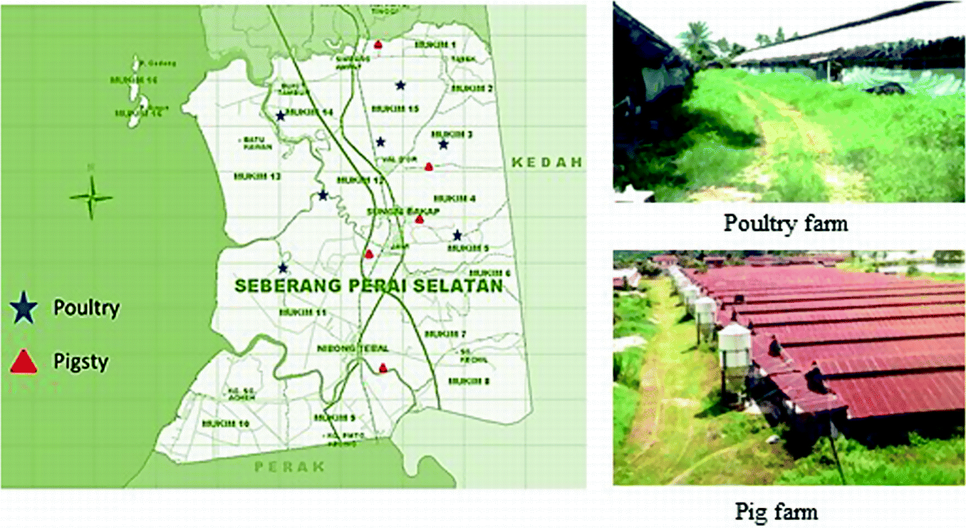 Spatial Risk Mapping Of House Fly Habitat In South Seberang Perai Penang Malaysia Springerlink