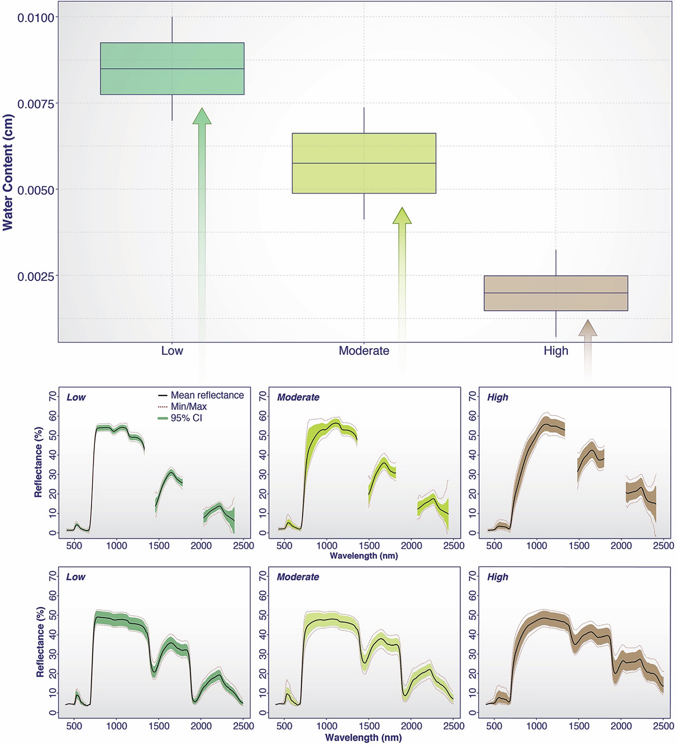 Scaling Functional Traits From Leaves To Canopies Springerlink