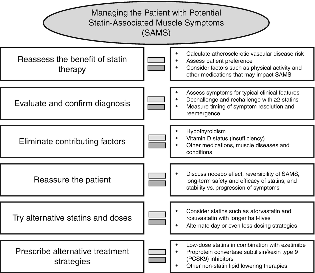 Clinical Management Of Sams Springerlink