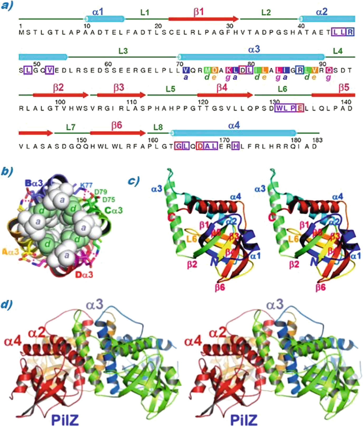 Noncanonical Cyclic Di Gmp Binding Modes Springerlink