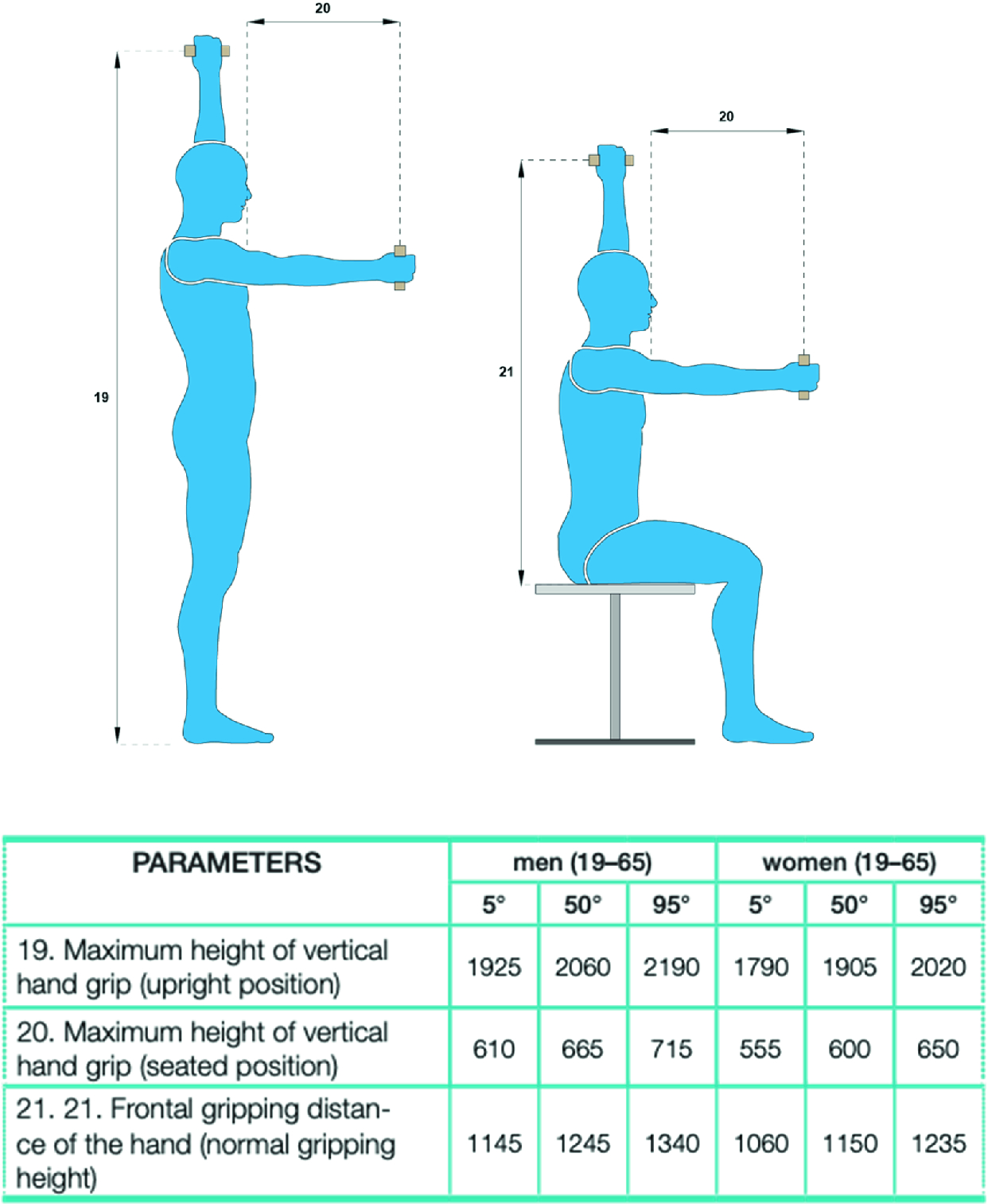 Elements Of Anthropometry Springerlink