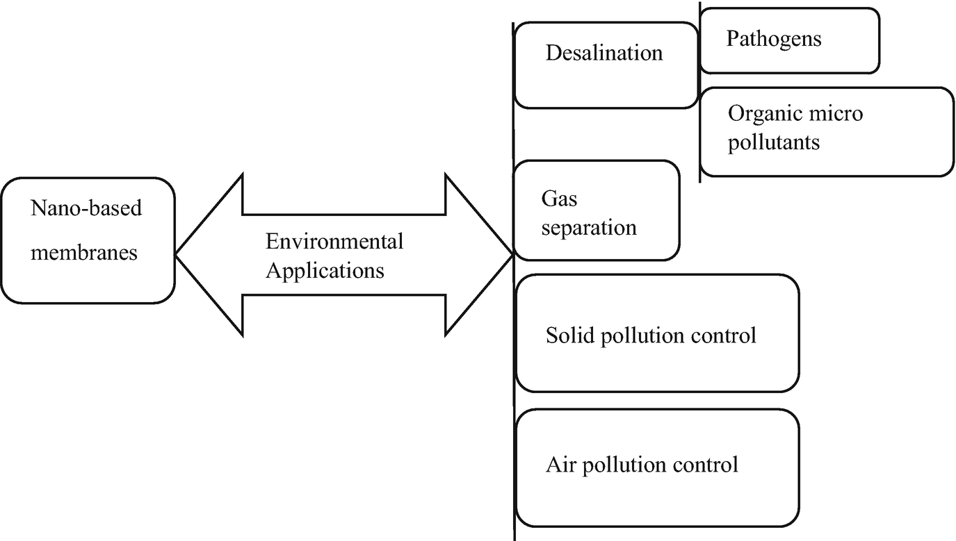 Drag the labels onto the diagram to identify the steps in complex endocrine pathways.