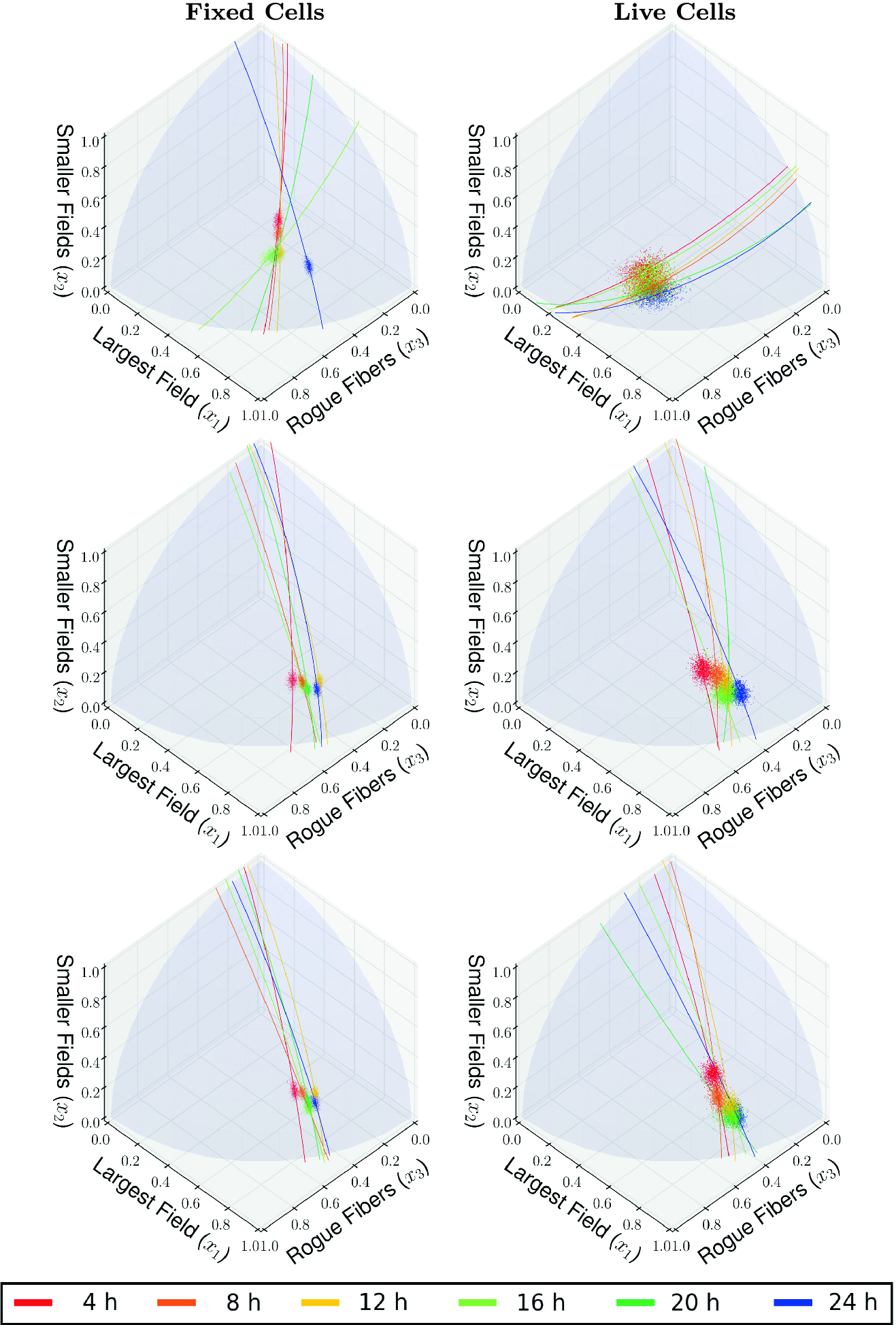 A Statistical And Biophysical Toolbox To Elucidate Structure And