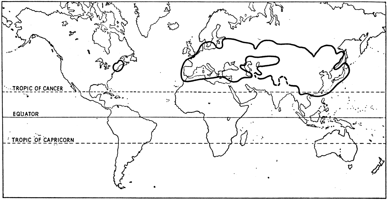 chapter six the balance between populations springerlink
