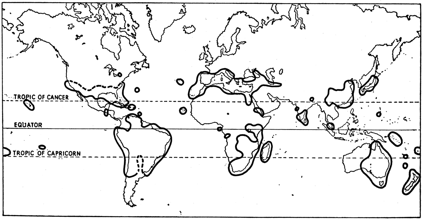 chapter three the invasion of continents springerlink
