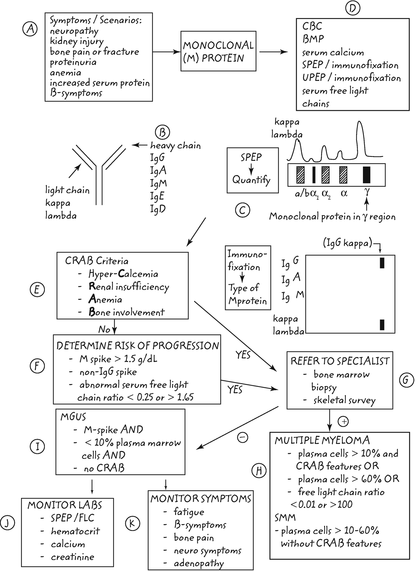 Management of Monoclonal Gammopathy of Uncertain Significance | SpringerLink