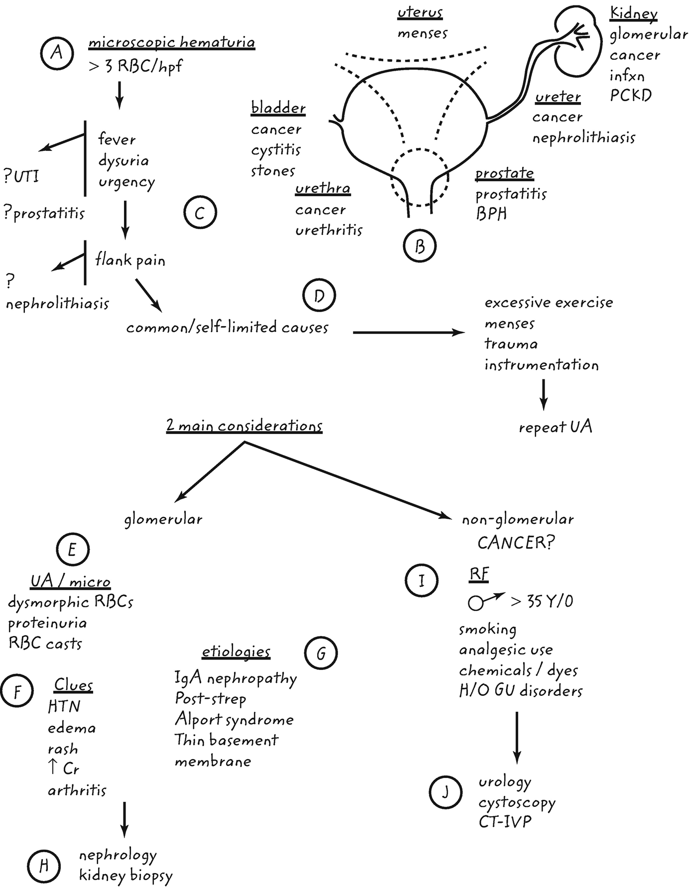 Makrogematuria prosztatitis